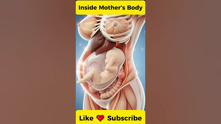 Inside Mother’s Body 👶✨ | Miracle of Life & Baby Growth #Shorts  #miracleinmotion #pregnant #baby