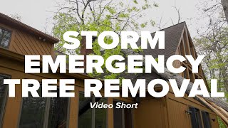 Storm Emergency Tree Removal Short