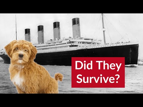 Did the DOGS survive the Titanic sinking? The answer will SURPRISE you! Video Thumbnail