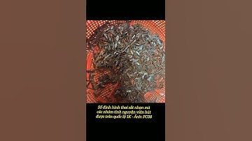 Tái diễn nạn rải đinh trên quốc lộ 1K