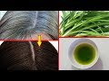 White Hair To Black Permanently in Just 2 Month Naturally | 100% Works At Home