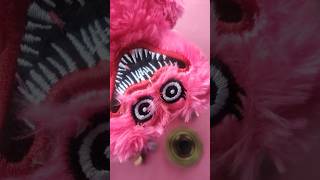 DIY Fidget Toys. #diy #ytshorts