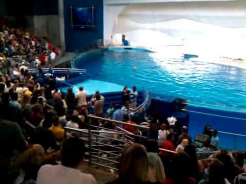 Baltimore National Aquarium