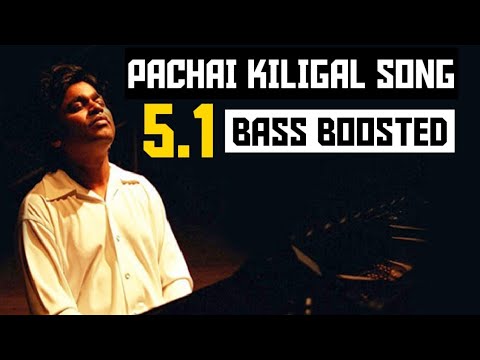 PACHAI KILIGAL 51 BASS BOOSTED SONG  INDIAN  ARRAHMAN  DOLBY  BAD BOY BASS CHANNEL