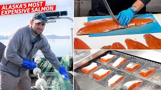 What Goes into Running a Commercial Salmon Fishing Business in Alaska - Dan Does