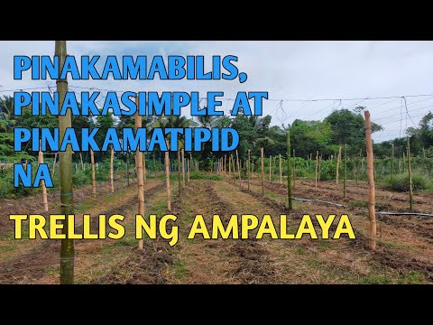 Video: Suporta sa Halaman ng Teepee - Paano Gumawa ng Teepee Trellis Para sa Mga Gulay