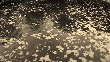 Tonight - On Stone w/ Am Grave (Opal Tapes) Grouphums, Jakoby & Ash Sagar .