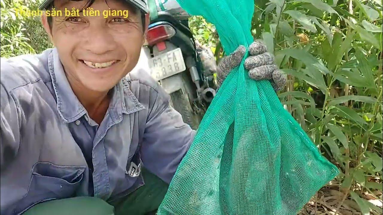 Mưu Sinh Nghề Bẫy Rắn Cái Kết Dính Tam Xà Thanhsănbắttiềngiang Youtube