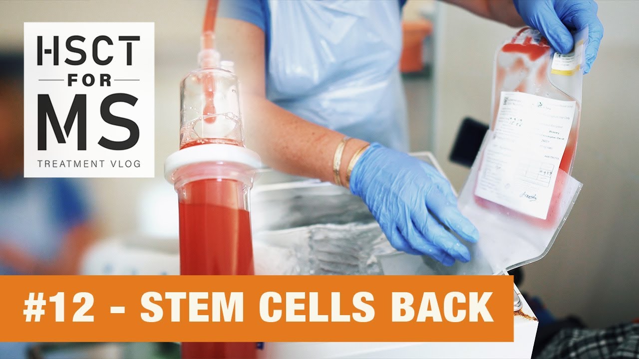 HSCT for MS vlog #12 - Stem Cells Back! - YouTube