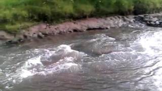 Capilla del señor Bs As Rio de la cruz 2016 familia Mitdank