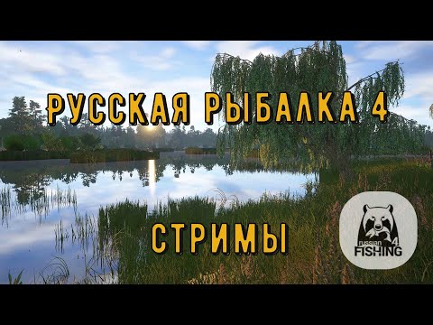 Видео: Русская рыбалка 4 ►  Ловись рыбка большая и большая