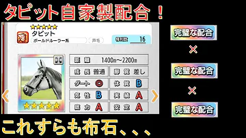 ダビマス タピット