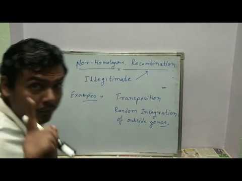 Holliday junction and Recombination ( Basics)