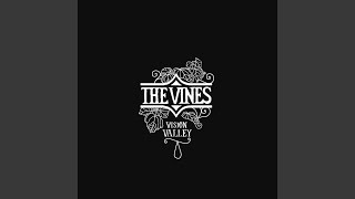 Video thumbnail of "The Vines - Spaceship"