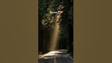 سورة التوبة (٤٠) Reader: Ali jaber