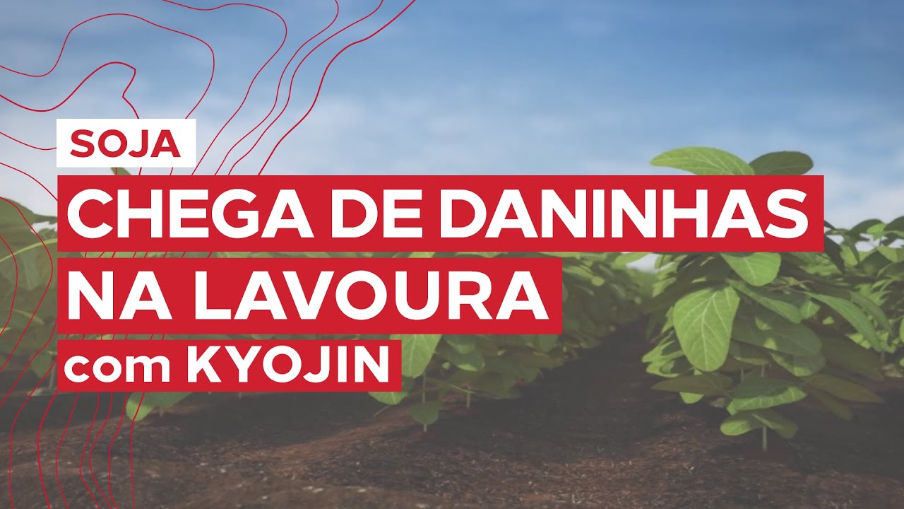 Herbicida pré-emergente Kyojin tira as daninhas da sua plantação!