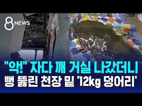 'Bomb-like blast' in the middle of the night… 12kg concrete block crashes into living room / SBS ...