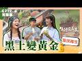 【生活愛美麗】完整版EP19｜誰說舊物只能進垃圾桶！罐頭、舊窗框竟能長出綠意？超療癒「廢品再利用」打造最美植物牆，你丟掉的其實都是寶貝！｜八弟蕭志瑋 卡肉｜公視台語台｜DAYDAY台語台