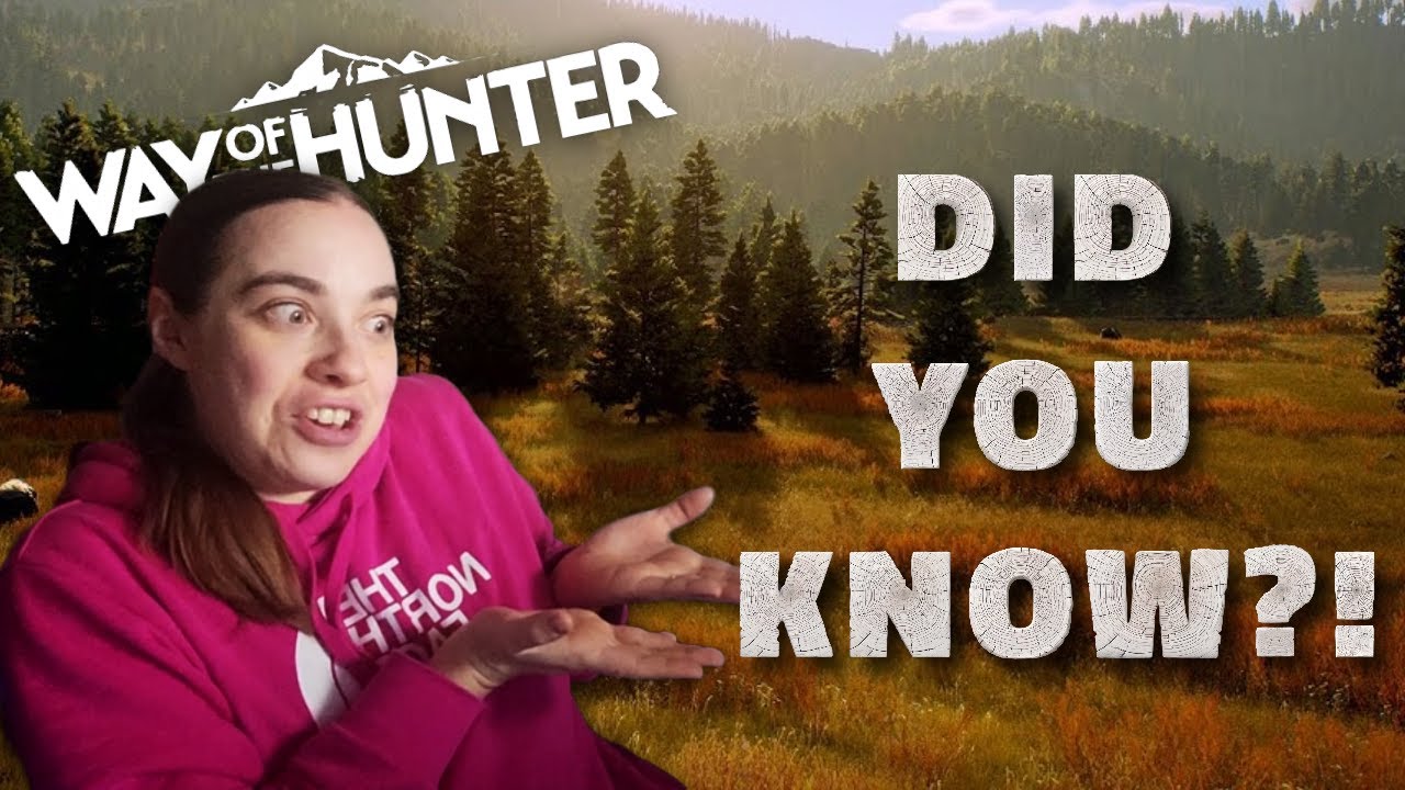 10 Tips You May Not Know in Way of the Hunter