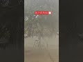 #देखले चले शीतलहर #sheetlahar #mausam #fog #viral #trending #shorts #ytshorts #yt #newtrend #newsong