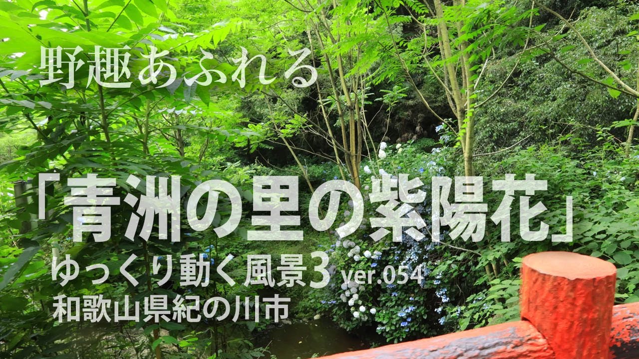 和歌山県 四季巡り 青洲の里 夏 紫陽花の頃 21年 Youtube