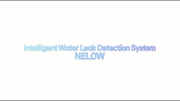 2025 NELOW, the intelligent water leak detection system  | AI-Powered NRW Solution