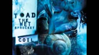 Video All things in time Toad The Wet Sprocket