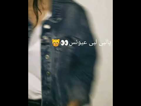 شخبارس شعلومس