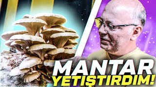 OFİSTE MANTAR YETİŞTİRDİM - MANTAR YETİŞTİRME KİTLERİNİ TEST ETTİM