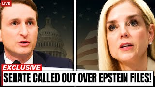 Details Pam Bondi BUCKLES as Dan Goldman EXPOSES the Missing Epstein Files News