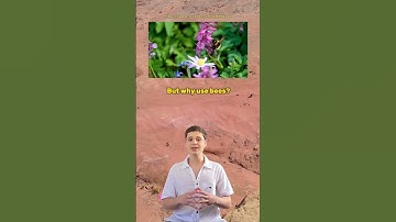 NASA Made Robotic Bees For Mars