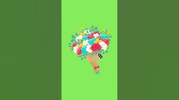Floral animation video || green screen || free download || 23
