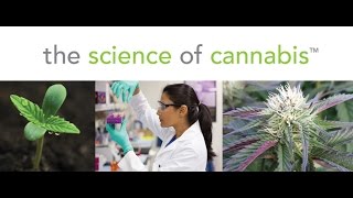 Indica and Sativa Classification