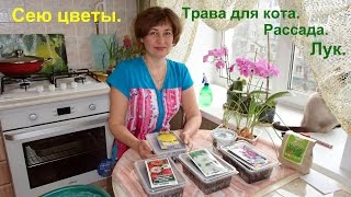 Про все по чуть-чуть. Про цветы, про кошачью траву, про выгонку лука. Про все по чуть-чуть. Про цветы, про кошачью траву, про выгонку лука.