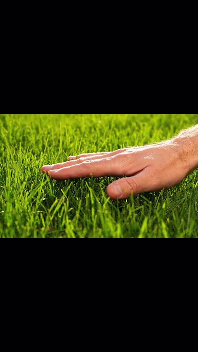 𝘮𝘢𝘭𝘶𝘴𝘰𝘬𝘢𝘺 — How to touch some grass