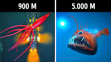 O que é o fundo do mar?