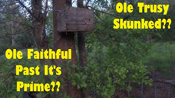 Catching Swarms V2.0- Did Ole Trusty Catch?