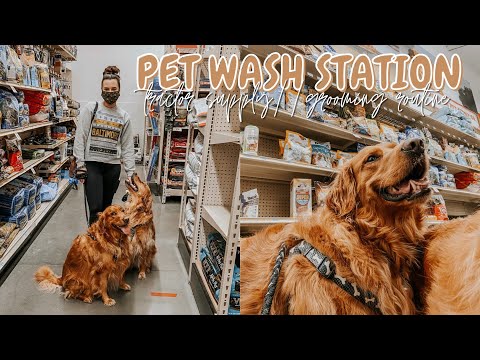 TRACTOR SUPPLY PET WASH STATION REVIEW + GOLDEN RETRIEVER GROOMING ROUTINE // EMILY MARIE