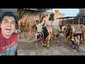 Qurbani Ka Janwaro Ko Saja Dea 😍