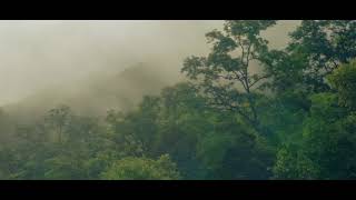 Sam Ourt \u0026 FERGO - Love Me [Music House NCS]