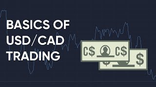 How to Trade the USD/CAD Forex Pair