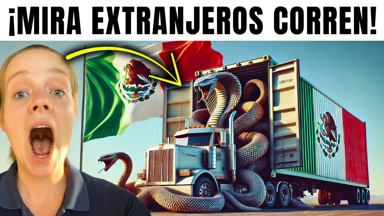 Extranjeros ROMPEN en Llanto al Recibir un REGALAZO de México 🇲🇽