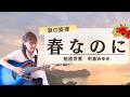 春なのに【柏原芳恵】癒しの弾き語り/アコースティックギターで切ない春の名曲をカバー