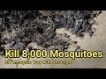 Mosquito trap DIY 8,000 mosquito kill reduce ZIKA DENGUE MALARIA MaxxAir Fan CO2