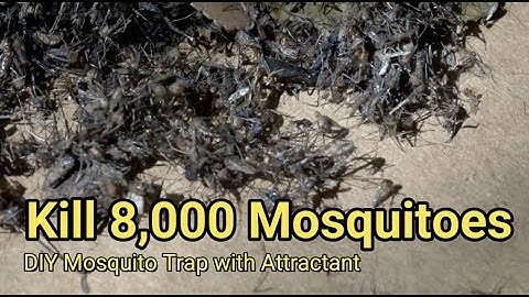 Mosquito trap DIY 8,000 mosquito kill reduce ZIKA DENGUE MALARIA MaxxAir Fan CO2