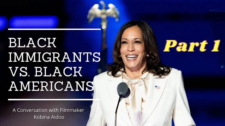 Black Immigrants vs Black Americans Part 1