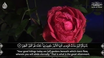 سورة الحديد ( 12 - 13 ) الشيخ محمد صديق المنشاوي