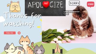 How Do Cats Say Sorry, How CaTs Ask Forgiveness. How CATS APOLOGIZE to HUMANS? 🐱🙏🏻