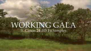 Vlog 02 - Working Gala | Canon 24-105 F4 Test Shots | Laguna-Quezon Province-Albay