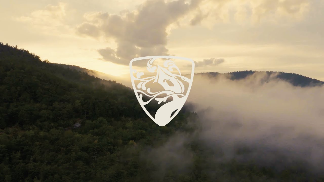 Tree House Brewing Company - Saratoga Springs